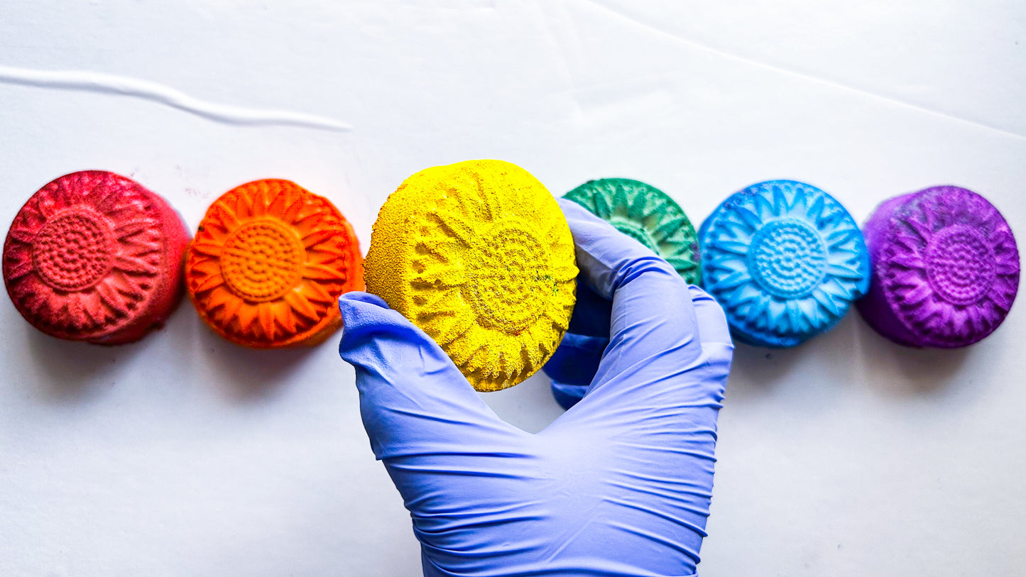 Pride ROYGBV Medal Rounds* Set of 6 *