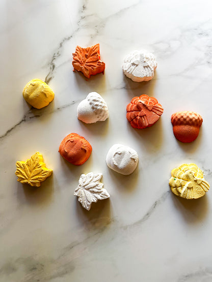 PettyASMRR x Fall Collection