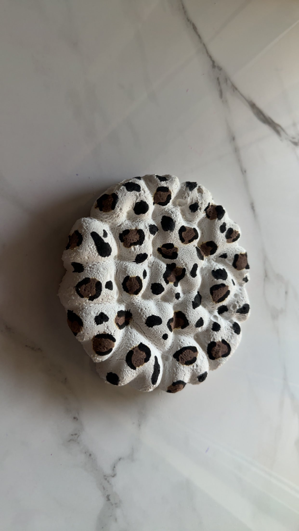 PettyASMRRCo X Leopard Collection